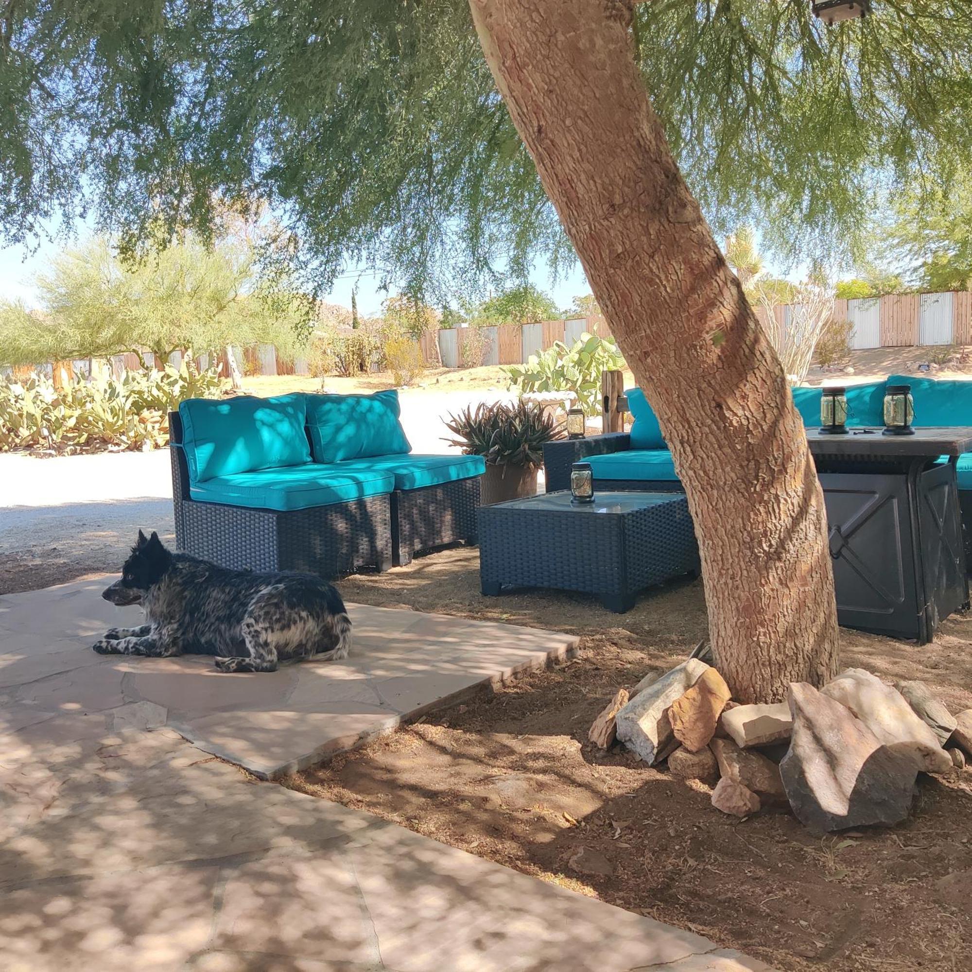 Joshua Tree Ranch House Motel - Downtown - Room #6 Exterior photo